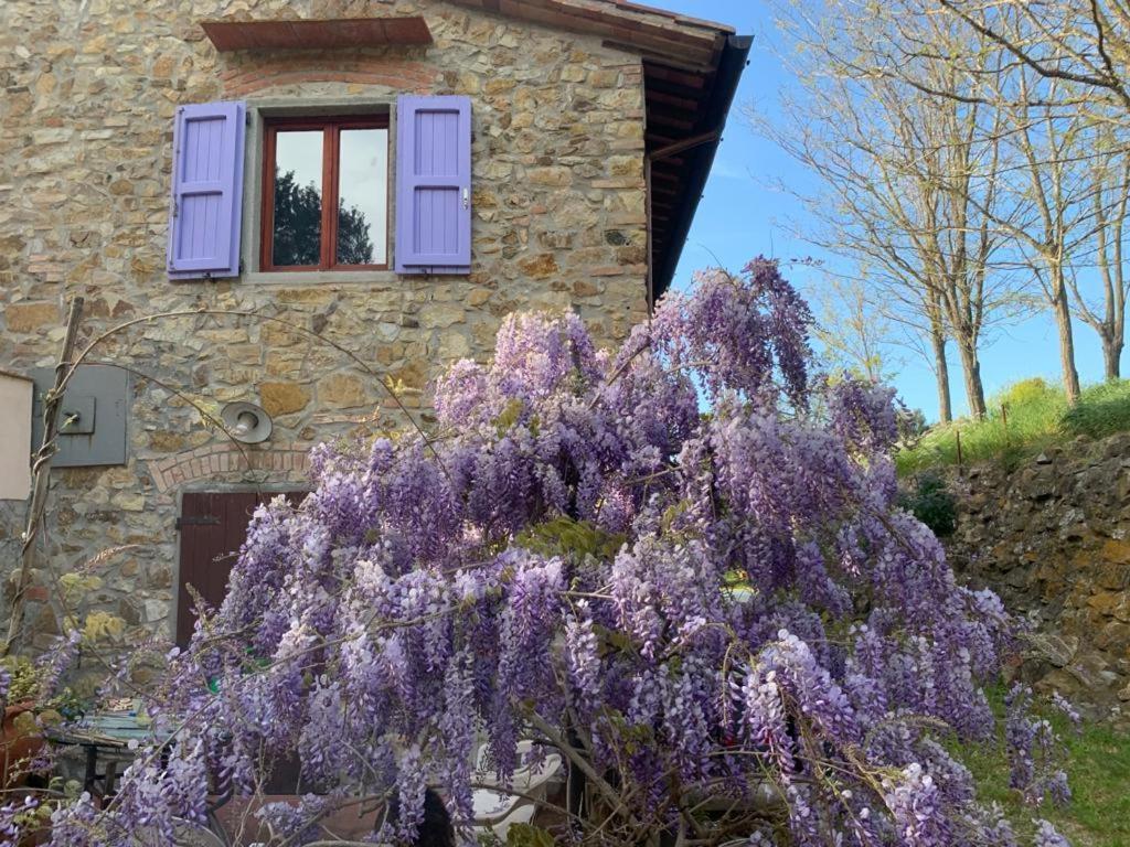 Antico Casale Il Fiorentino Montenero  Exterior foto